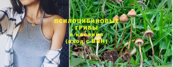 соль ск Балахна